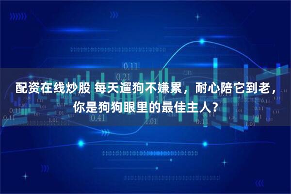 配资在线炒股 每天遛狗不嫌累，耐心陪它到老，你是狗狗眼里的最佳主人？