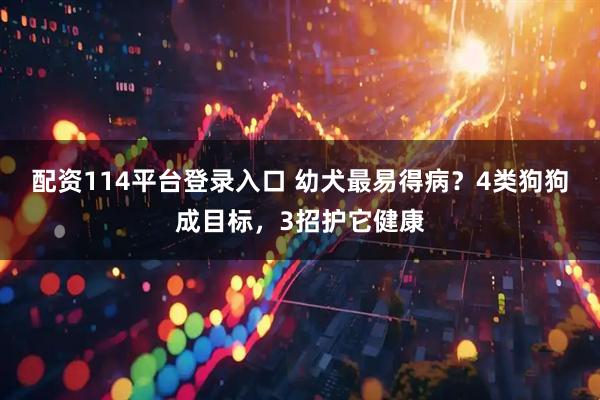 配资114平台登录入口 幼犬最易得病？4类狗狗成目标，3招护它健康