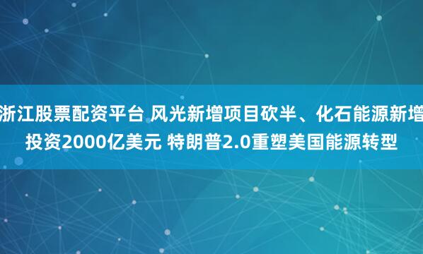 浙江股票配资平台 风光新增项目砍半、化石能源新增投资2000亿美元 特朗普2.0重塑美国能源转型