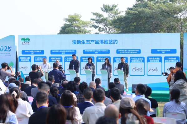 官网股票配资 当湿地开始进化，能为广州带来什么？