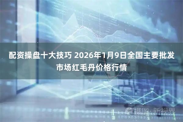 配资操盘十大技巧 2026年1月9日全国主要批发市场红毛丹价格行情